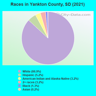 Races in Yankton County, SD (2019)