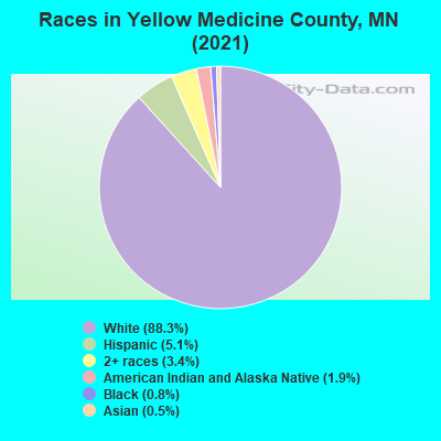 Races in Yellow Medicine County, MN (2019)