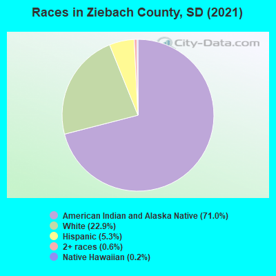 Races in Ziebach County, SD (2019)