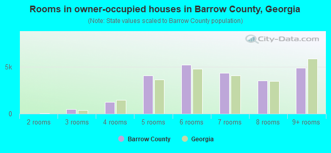 Rooms in owner-occupied houses in Barrow County, Georgia