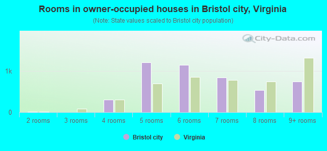 Rooms in owner-occupied houses in Bristol city, Virginia