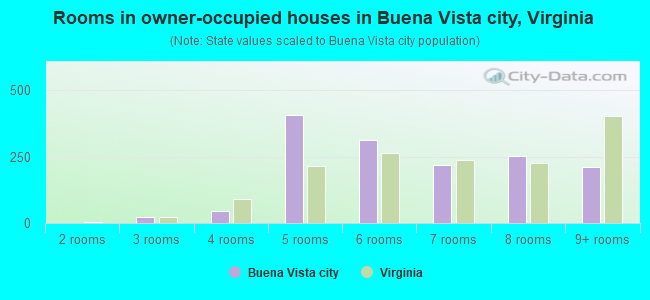 Rooms in owner-occupied houses in Buena Vista city, Virginia