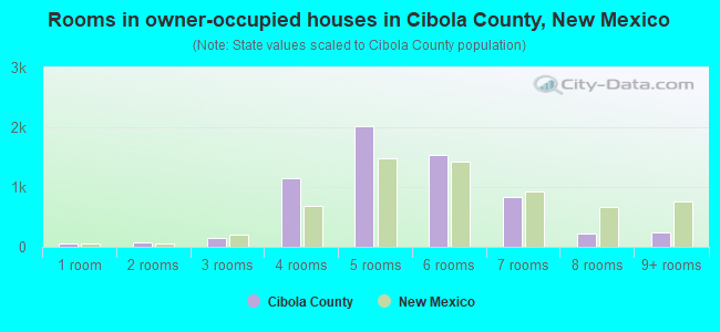 Rooms in owner-occupied houses in Cibola County, New Mexico