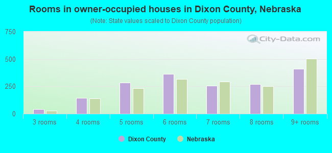 Rooms in owner-occupied houses in Dixon County, Nebraska