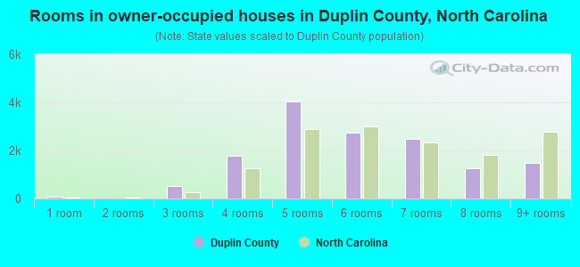 Rooms in owner-occupied houses in Duplin County, North Carolina