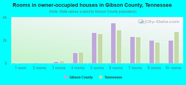 Rooms in owner-occupied houses in Gibson County, Tennessee