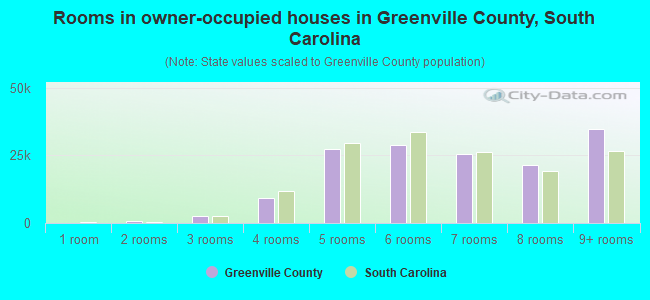 Rooms in owner-occupied houses in Greenville County, South Carolina