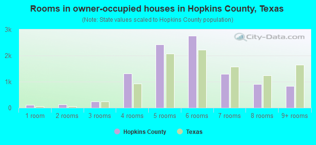 Rooms in owner-occupied houses in Hopkins County, Texas
