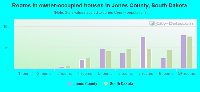 Rooms in owner-occupied houses in Jones County, South Dakota