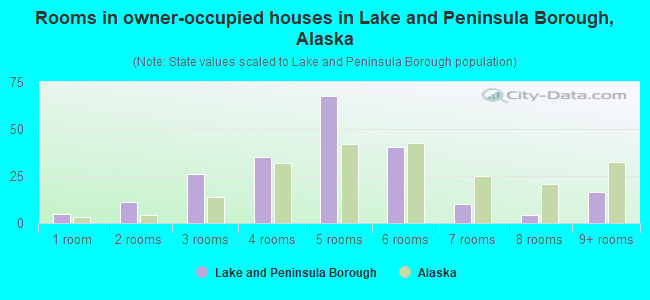 Rooms in owner-occupied houses in Lake and Peninsula Borough, Alaska