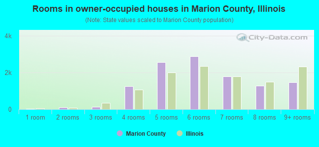 Rooms in owner-occupied houses in Marion County, Illinois