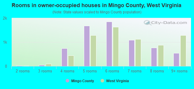 Rooms in owner-occupied houses in Mingo County, West Virginia