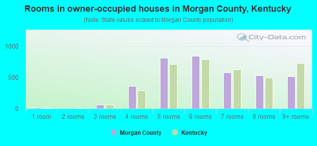 Rooms in owner-occupied houses in Morgan County, Kentucky