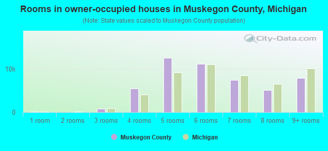 Rooms in owner-occupied houses in Muskegon County, Michigan