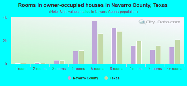 Rooms in owner-occupied houses in Navarro County, Texas