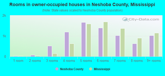 Rooms in owner-occupied houses in Neshoba County, Mississippi