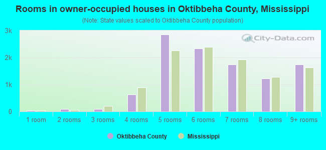 Rooms in owner-occupied houses in Oktibbeha County, Mississippi