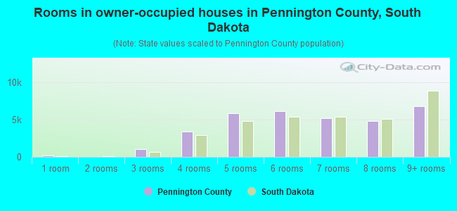 Rooms in owner-occupied houses in Pennington County, South Dakota