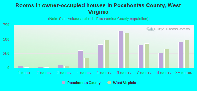 Rooms in owner-occupied houses in Pocahontas County, West Virginia