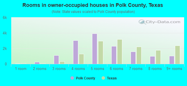 Rooms in owner-occupied houses in Polk County, Texas