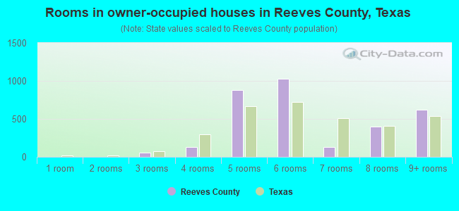 Rooms in owner-occupied houses in Reeves County, Texas