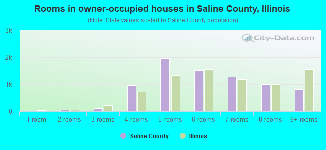 Rooms in owner-occupied houses in Saline County, Illinois