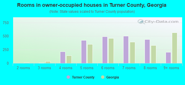 Rooms in owner-occupied houses in Turner County, Georgia