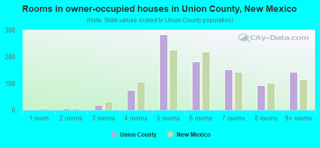 Rooms in owner-occupied houses in Union County, New Mexico