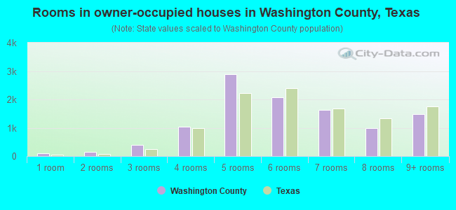 Rooms in owner-occupied houses in Washington County, Texas