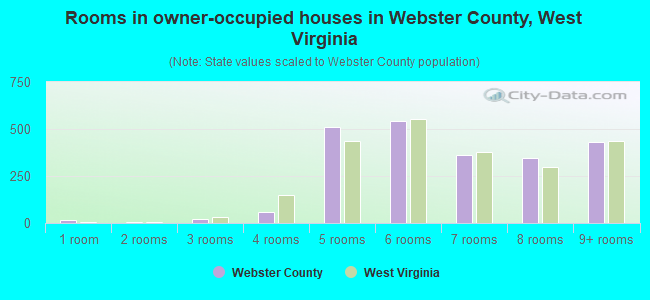 Rooms in owner-occupied houses in Webster County, West Virginia