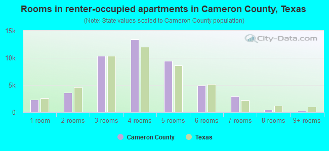 Rooms in renter-occupied apartments in Cameron County, Texas