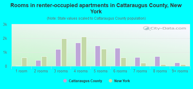 Rooms in renter-occupied apartments in Cattaraugus County, New York