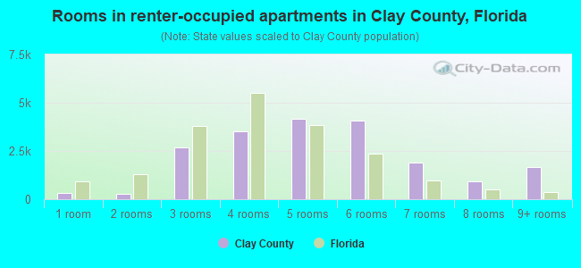 Rooms in renter-occupied apartments in Clay County, Florida