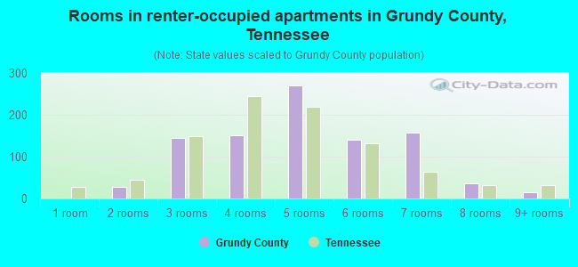 Rooms in renter-occupied apartments in Grundy County, Tennessee