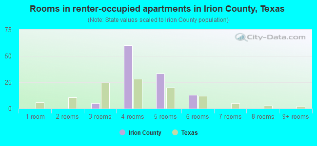 Rooms in renter-occupied apartments in Irion County, Texas