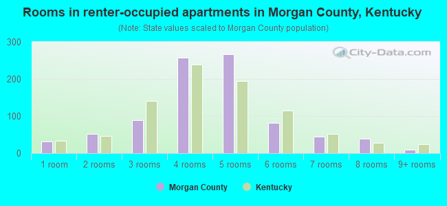 Rooms in renter-occupied apartments in Morgan County, Kentucky