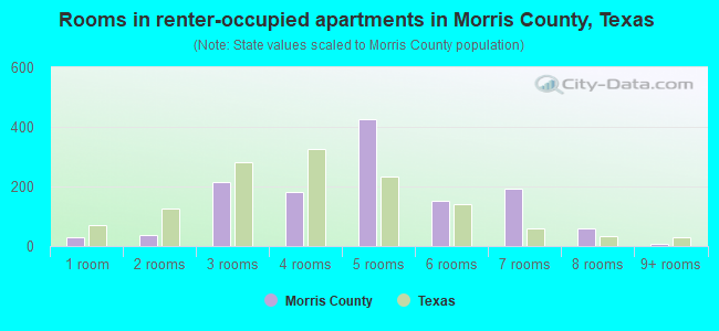 Rooms in renter-occupied apartments in Morris County, Texas
