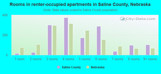 Rooms in renter-occupied apartments in Saline County, Nebraska