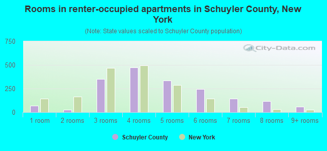Rooms in renter-occupied apartments in Schuyler County, New York
