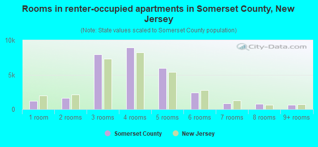 Rooms in renter-occupied apartments in Somerset County, New Jersey