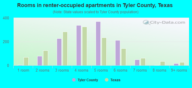 Rooms in renter-occupied apartments in Tyler County, Texas