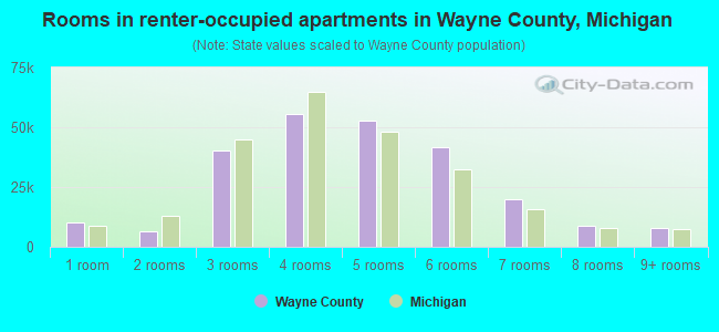 Rooms in renter-occupied apartments in Wayne County, Michigan