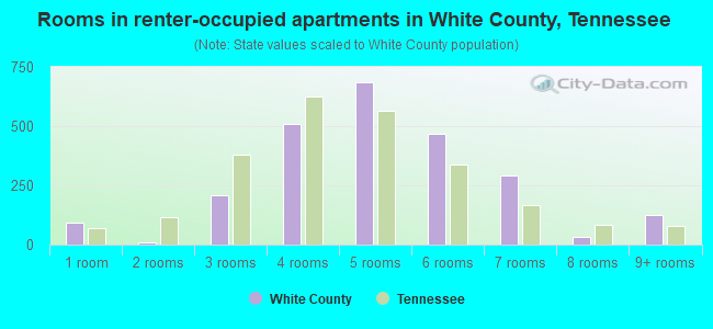 Rooms in renter-occupied apartments in White County, Tennessee