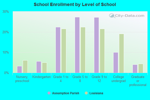 School Enrollment by Level of School