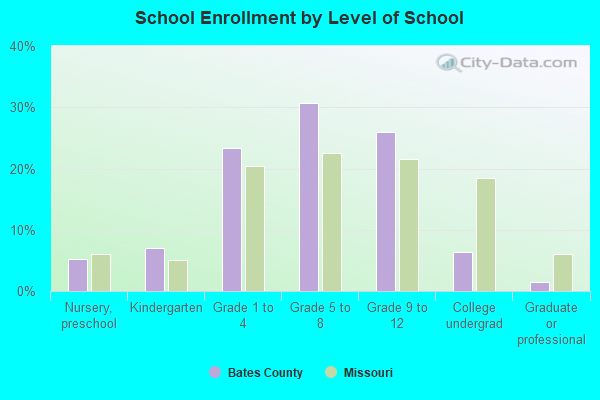 School Enrollment by Level of School