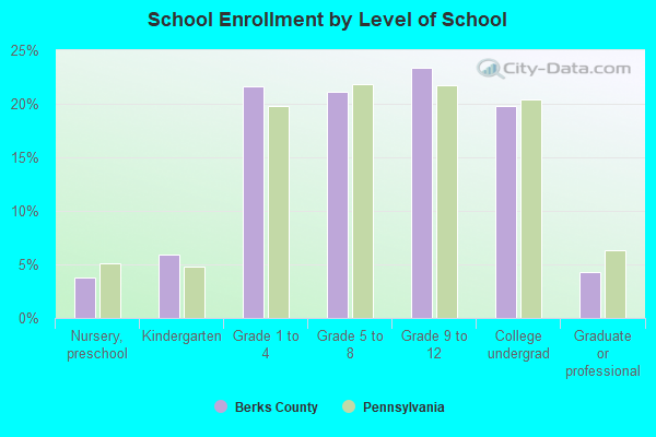 School Enrollment by Level of School