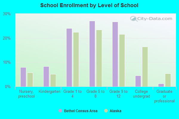 School Enrollment by Level of School