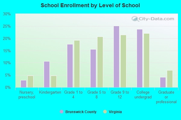 School Enrollment by Level of School