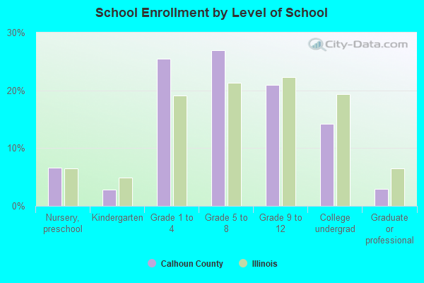 School Enrollment by Level of School