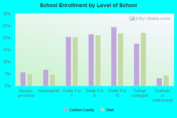 School Enrollment by Level of School